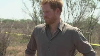 Prince Harry is visibly moved as he sees poached rhino carcasses in South Africa