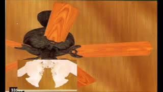 Hunter Sea Air Ceiling Fan