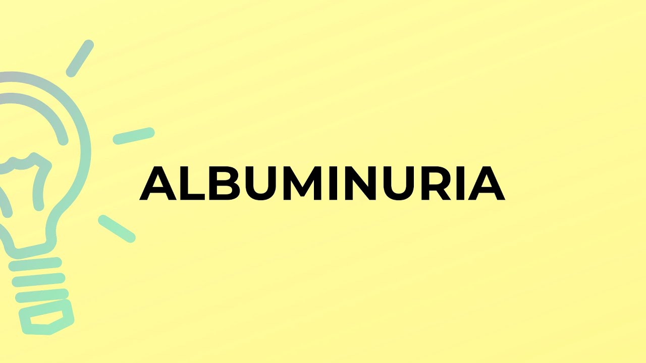 What Is The Meaning Of The Word ALBUMINURIA YouTube What is the meaning of the word albuminuria youtube