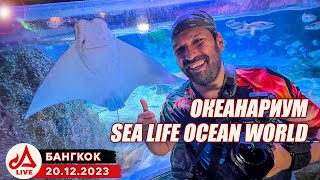 Океанариум в Бангкоке 🔴 SEA LIFE Bangkok Ocean World