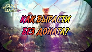 Ant Legion - БЕЗ ДОНАТА или как копить  чтобы расти  | How to accumulate and when to spend?(eng sub)