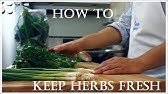 In The Kitchen with Nathaniel Nguyen: How to Keep Berries Fresh For Up to 2 Weeks - YouTube
