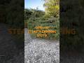 I Found 2 Different Stealth Camping Spots! #stealthcamping #camping #stealth #shorts #outdoors