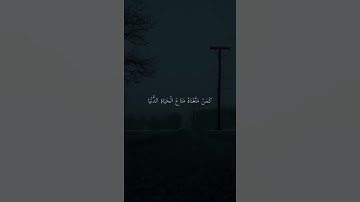 وَمَا عِندَ اللَّهِ خَيْرٌ وَأَبْقَىٰ ۚ أَفَلَا تَعْقِلُونَ |سورة القصص|🎧💙