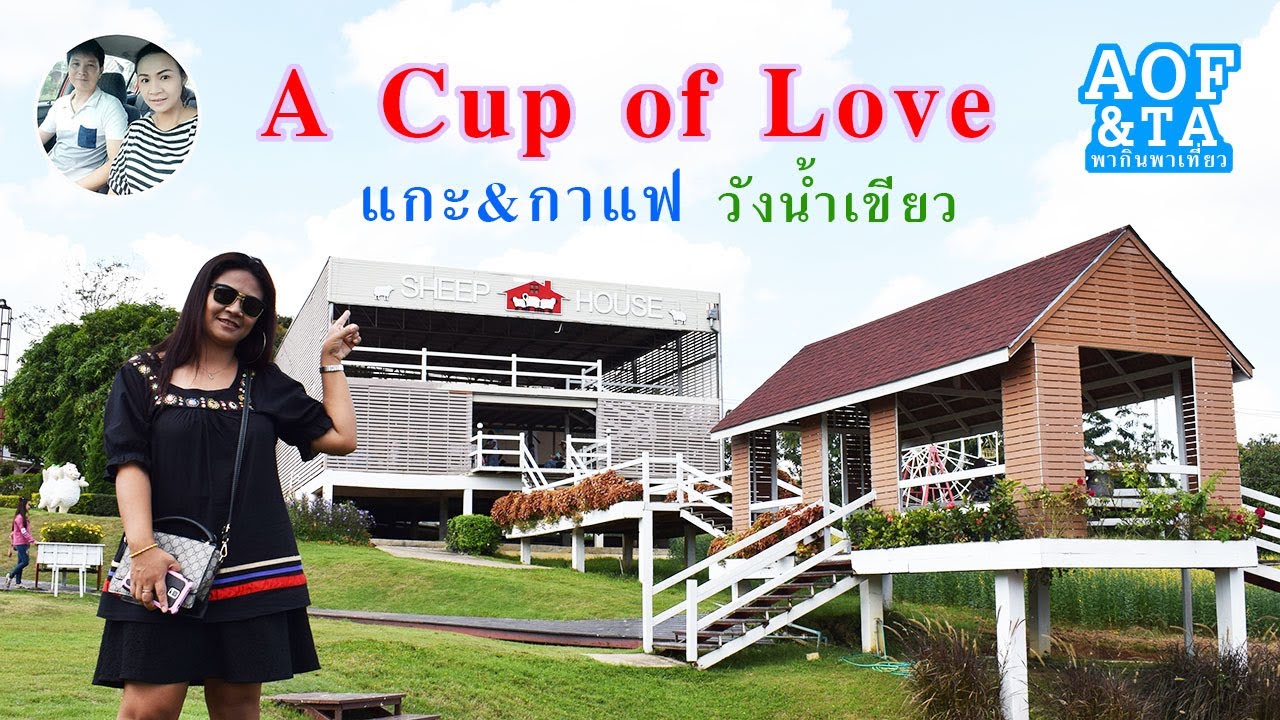 A Cup Of Love ชมบ้านแกะ แวะดื่มกาแฟที่ อวังน้ำเขียว Youtube 