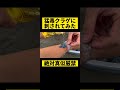 【刺されて検証】猛毒カツオノエボシに刺されてみた【真似厳禁】