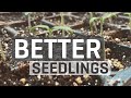 BETTER Seedlings Guide