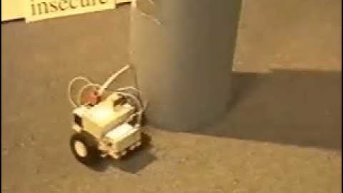MIT Braitenberg Creatures