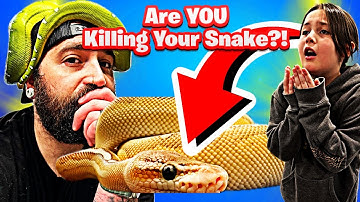STOP Making This DEADLY Ball Python Mistake! |Ball Python Owners KEEP Making This Mistake!