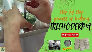 Trichoderma Powder (with visuals) English | Complete Preparation Method Explained Step by step