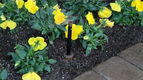 Rain Bird ESP-RZX -  Manual Watering