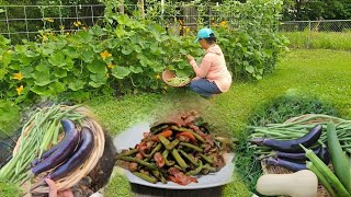 Never Ending Supply of Food From a Small Backyard Garden | Cooking Pinakbet | Simple Living