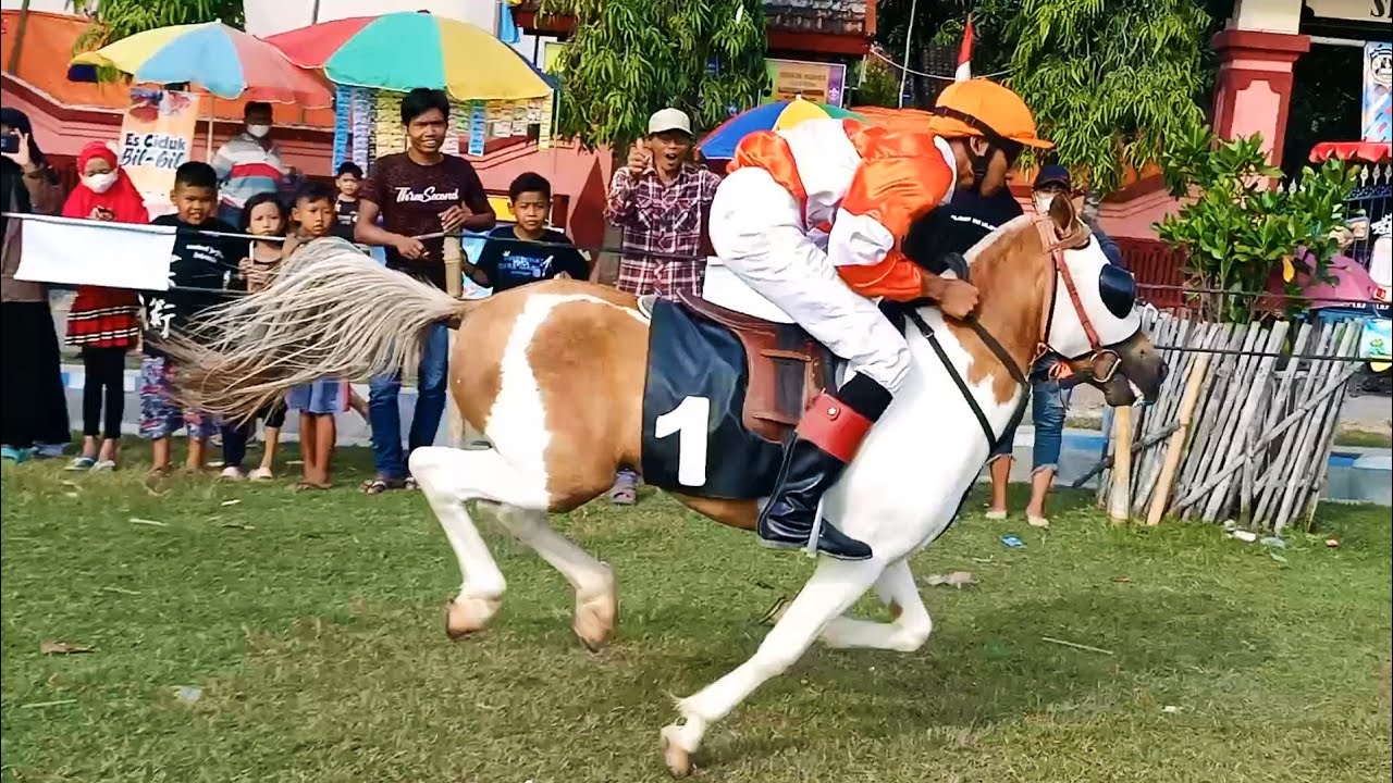Seperti Kesetanan ‼️ Kuda Kun Fayakun Ponorogo Melesat Kencang Dan Menjadi Juara 1