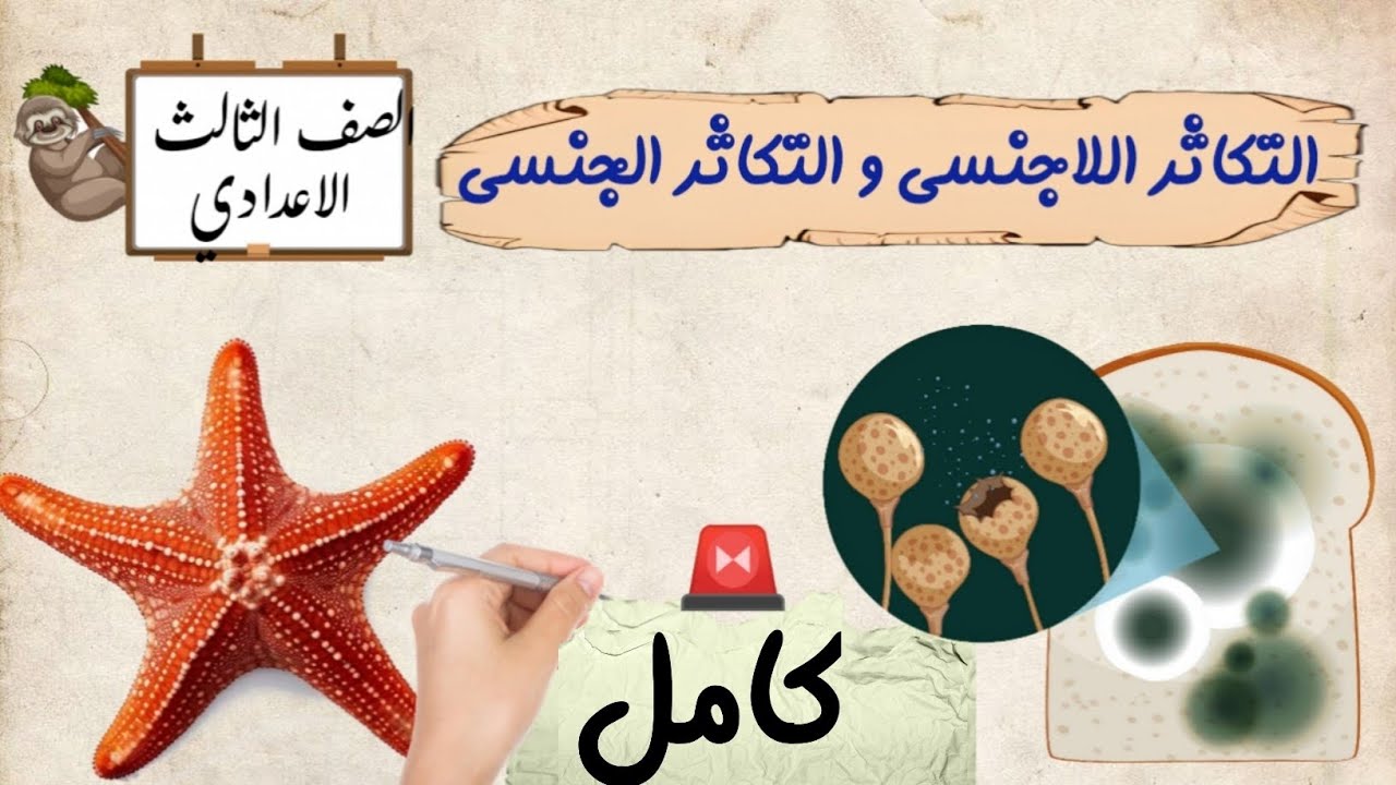 التكاثر اللاجنسي و التكاثر الجنسي الدرس الاخير ثالثة إعدادي الترم الاول 