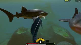 Feed & Grow  Fish Swordfish Vs Megalodon