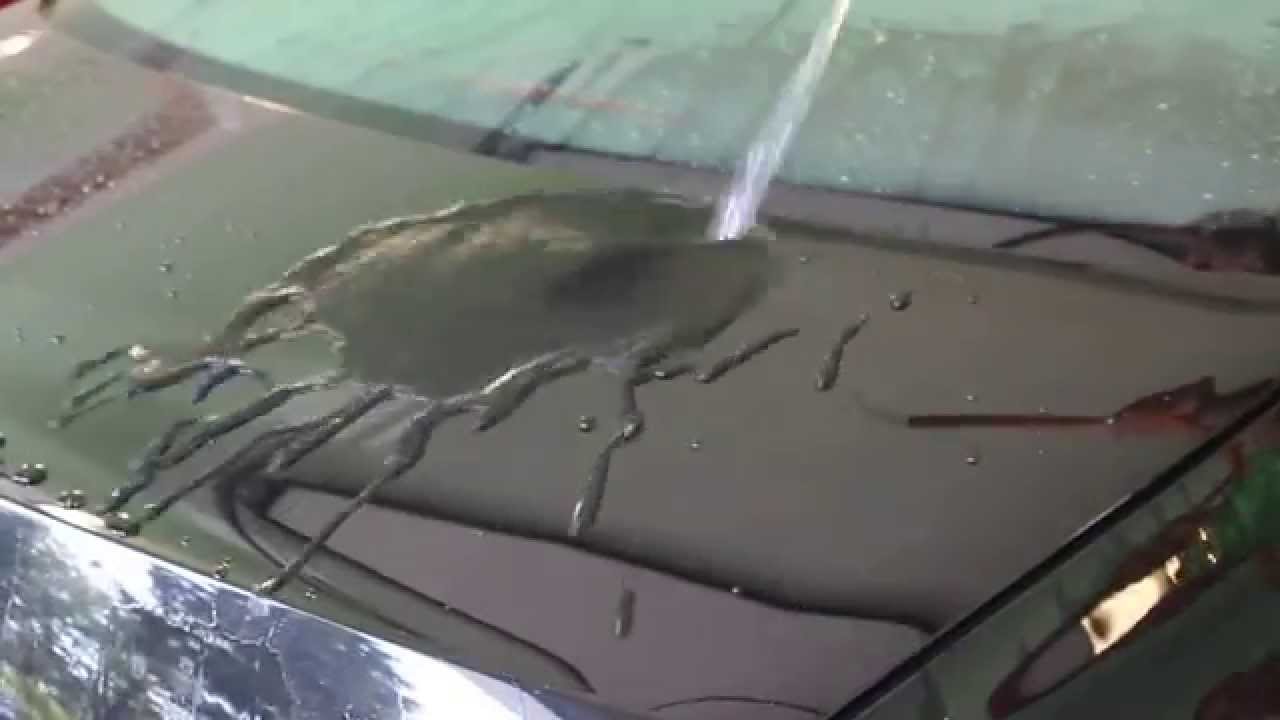 Renowacja i zabezpieczenie lakieru RAFI. Ceramic PRO 9H test.