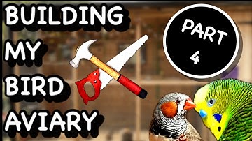 BUILDING A BIRD AVIARY (PART 4) MOVING DAY!!