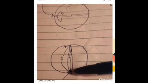 Surface Area of a sphere