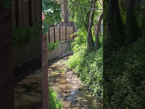 Orr Creek in Ukiah, California ~ Thursday April 20, 2023