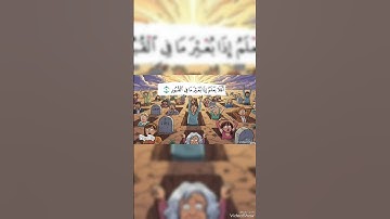 تلاوة مؤثره من سورة العاديات | بصوت الشيخ حاتم فريد الواعر🌿🕋 | Al-Adiyat