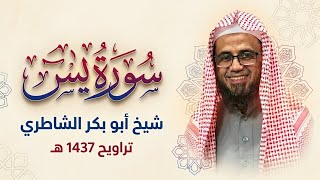 سورة يس كاملة من ليلة 20 رمضان 1437 هـ للقارئ شيخ أبو بكر الشاطري | مسجد المشاري.