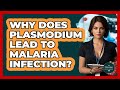 Why Does Plasmodium Lead To Malaria Infection? - The Disease Encyclopedia