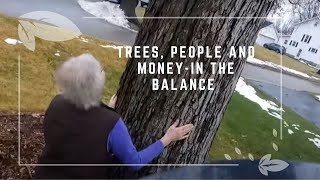 A most valuable tree removal