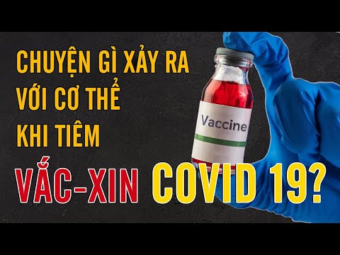 Chuyện gì xảy ra với cơ thể khi tiêm Vaccine Covid 19 - Những điều cần biết về vắc xin AstraZeneca.