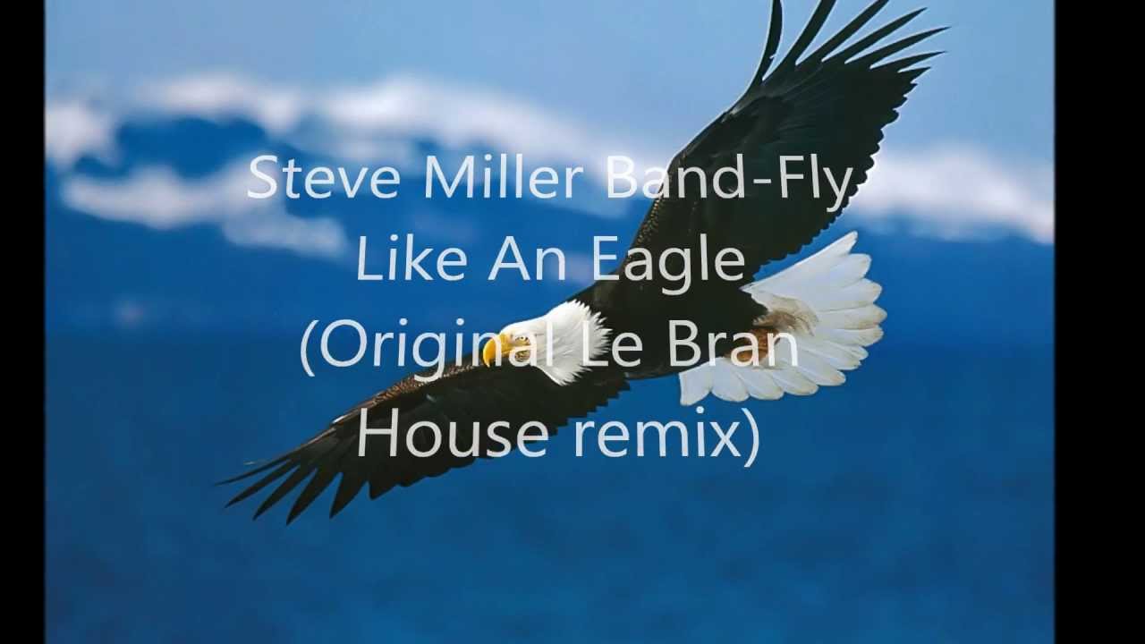 fly like an eagle Fly like an eagle 4,157 likes 27 talking about this eagles. fly like an eagle Fly like an eagle 4,157 likes 27 talking about this eagles.