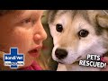 MOST EMOTIONAL PET RESCUES 😢 | Compilation | Bondi Vet