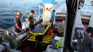 Sunfish Tracking - Press Presentation