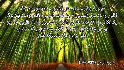 تلاوة هادئة مؤثرة للقارئ الشيخ أبوبكر مومني - ما تيسرمن سورتي الرحمن والمجادلة