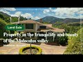 For sale serene splendor luxurious estate in the malacatos valley  malacatos ecuador real estate