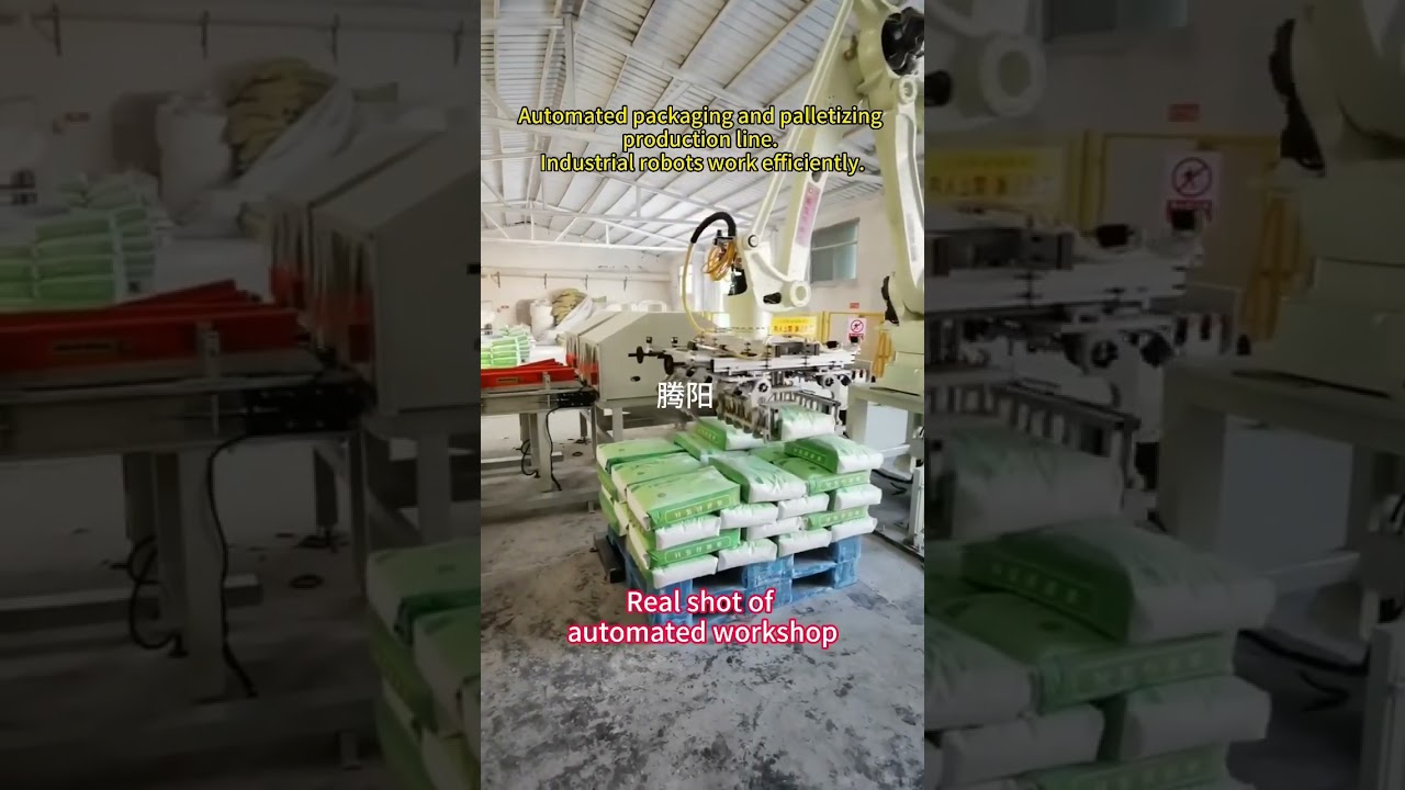 Automated packaging and palletizing production line. Industrial robots work efficiently. 