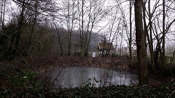 Explosive Arrow fired by a crossbow