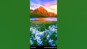 الذي جعل لكم الأرض فراشا والسماء بناء وأنزل من السماء...- سورة البقرة آية 22 بصوت عبدالباسط عبدالصمد