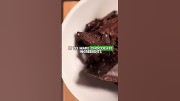 Food Futurist Reveals the 4 Food technologies that will change the food system! #foodindustry