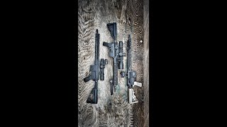 Which Optic Is Best for Your AR-15? (Navy SEAL Review)