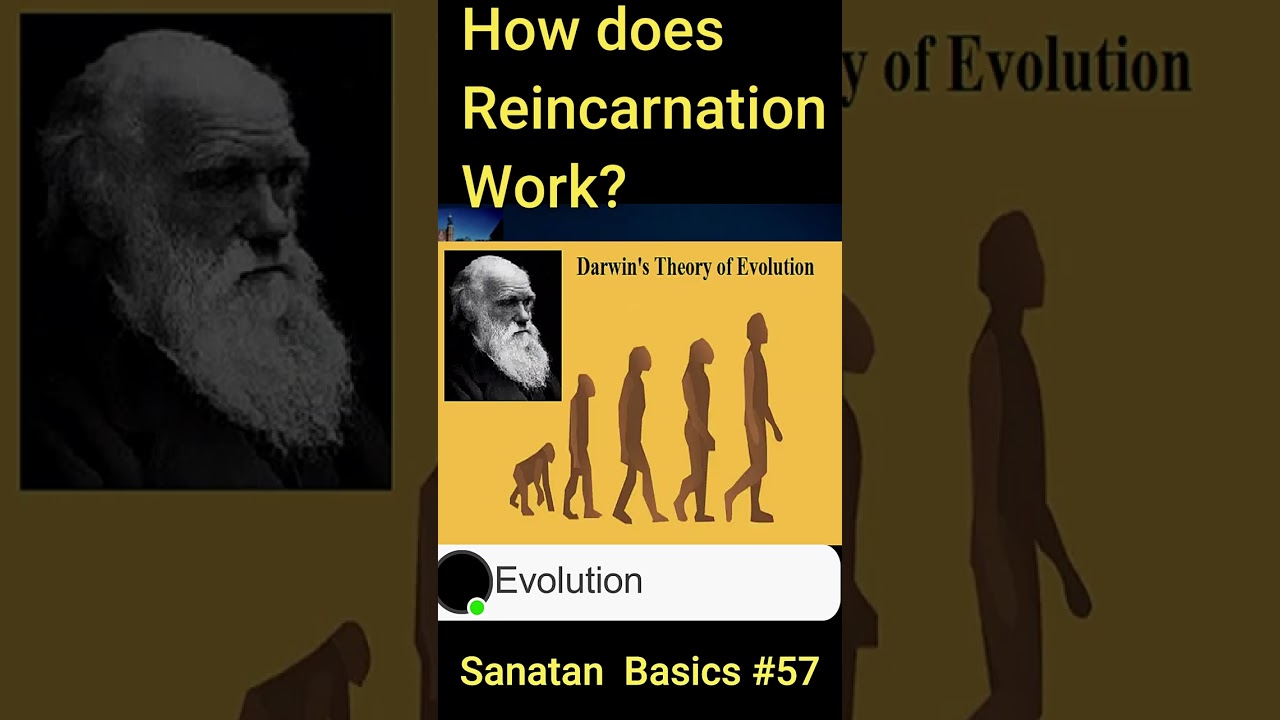 How Does Reincarnation Work? | Cycle of Rebirth and Karma How Does Reincarnation Work? | Cycle of Rebirth and Karma