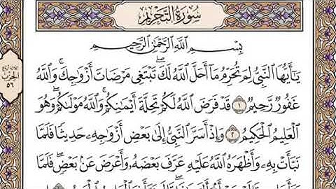 سورة التحريم للقارئ الشيخ وديع اليمني