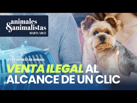 Venta ilegal de mascotas al alcance de un clic