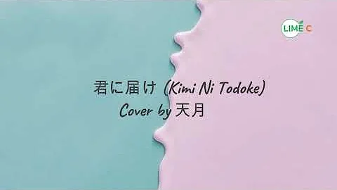 君に届け 天月音楽 君に届け 天月音楽