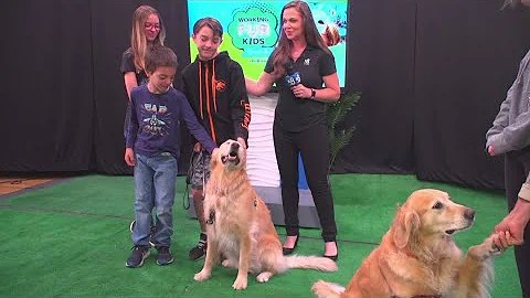 Meet Declan | Helping launch a Resident Canine Therapy Program at Rady Children’s in San Diego