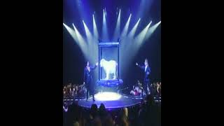 The Simpsons Predicted It Tiger Attacks Siegfried And Roy