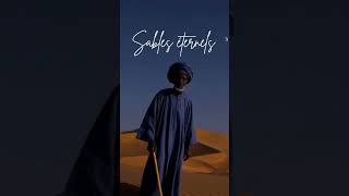 Vivez le desert #music #house #spiritual #desertmusic #tuareg #tribalhouse #sahara