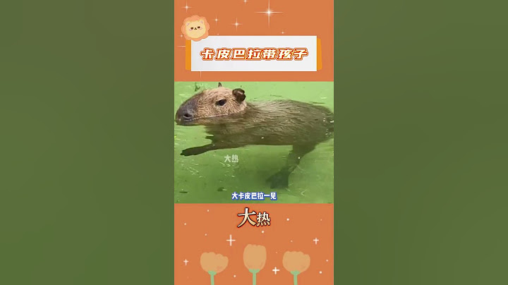 卡皮巴拉都不愿意帶孩子#卡皮巴拉 #動物#搞笑  #擴散