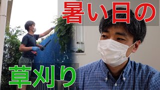 草刈りしたけど、バリカンの刃がボロボロ梅雨明け後の草刈りVlog