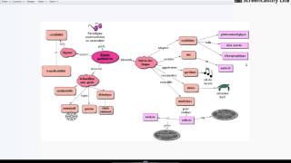 Études qualitatives module 6a