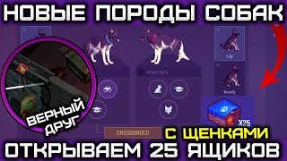 ПРОКАЧИВАЕМ НАВЫК ВЕРНЫЙ ДРУГ - СКРЕЩИВАЕМ НАШИХ СОБАК - Last Day on Earth: Survival ПРОКАЧИВАЕМ НАВЫК ВЕРНЫЙ ДРУГ - СКРЕЩИВАЕМ НАШИХ СОБАК - Last Day on Earth: Survival