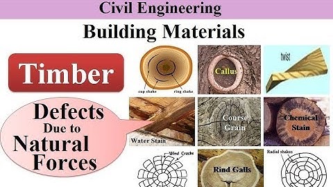 Defects in Timber Due to Natural Forces | Timber | Building Materials